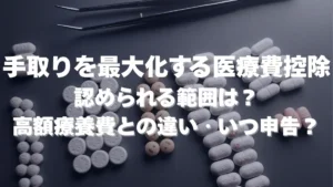 21.手取りを最大化する医療費控除｜高額療養費との違い・OKNG・いつ申告するか【公務員向け2025】